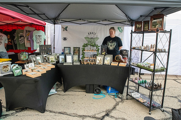 Tuscola Oddmarket 20251290