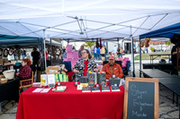 Tuscola Oddmarket 20251297