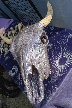 Tuscola Oddmarket 20251305