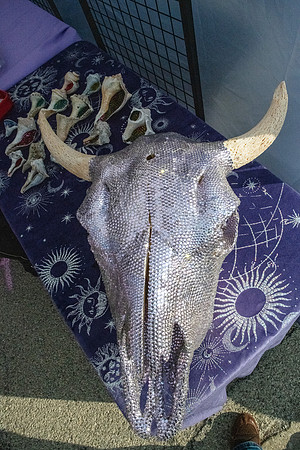 Tuscola Oddmarket 20251308