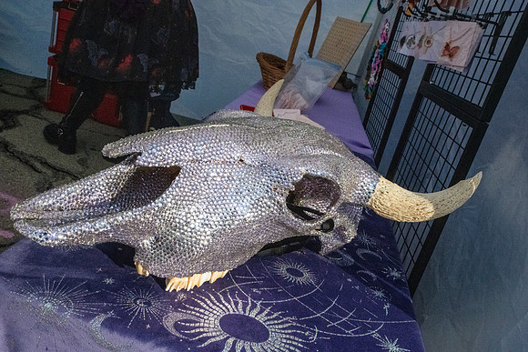 Tuscola Oddmarket 20251306