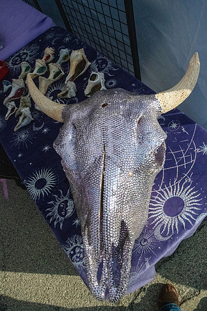 Tuscola Oddmarket 20251307
