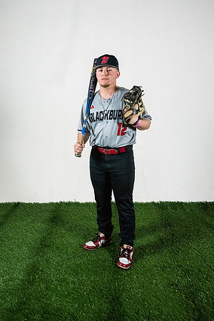 baseball 20263294