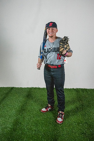 baseball 20263295