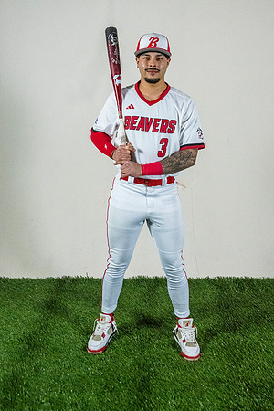 baseball 20263316
