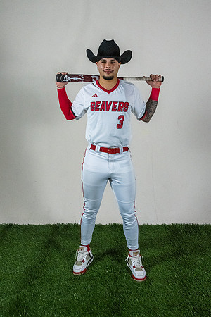 baseball 20263317