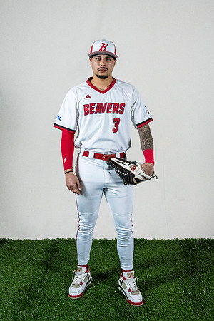 baseball 20263315