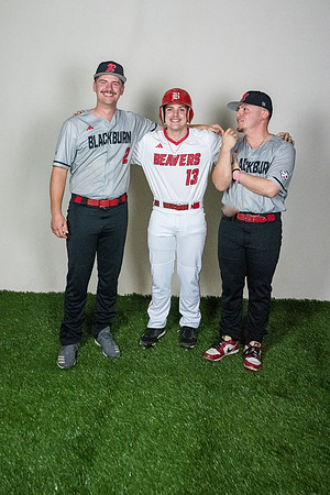 baseball 20263355
