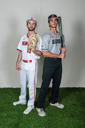 baseball 20263366
