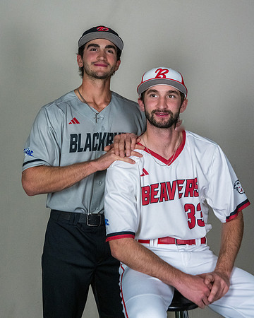 baseball 20263370