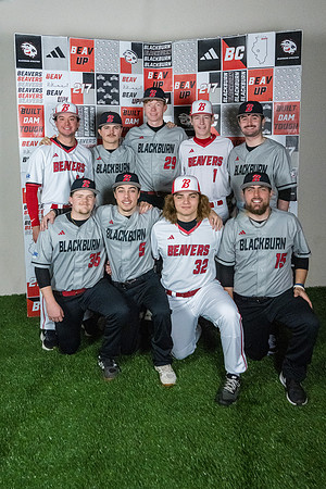 baseball 20263377