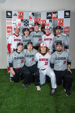 baseball 20263378