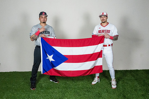 baseball 20263381