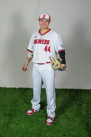 baseball 20263383