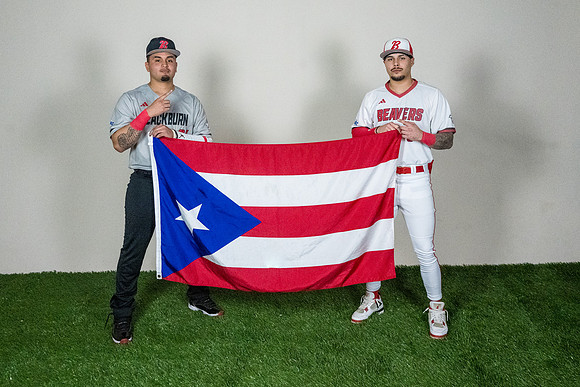 baseball 20263380