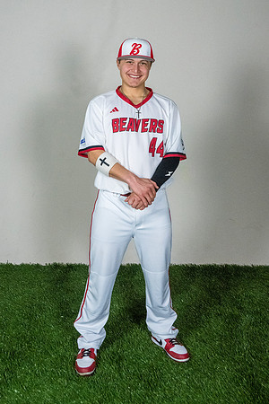 baseball 20263384