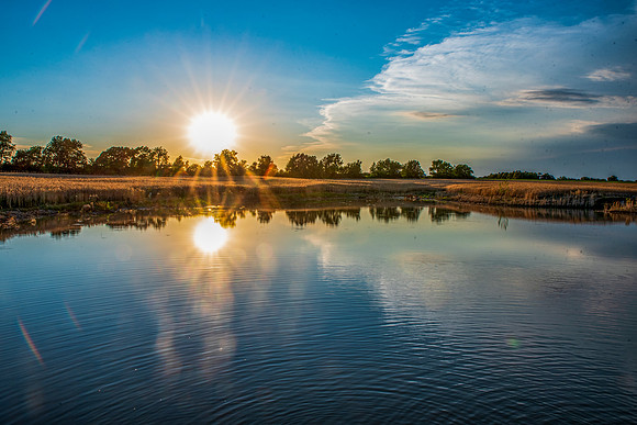 reflection