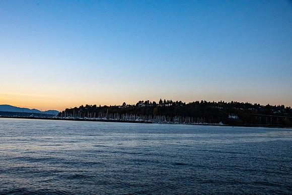 Ron's Tesitimonial_202