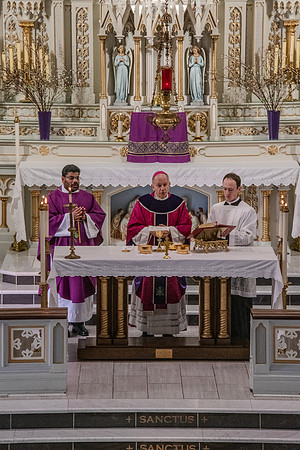 st francis bishop378