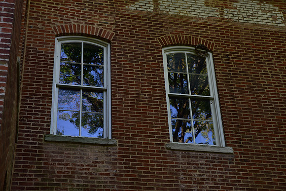 JOJ_7181