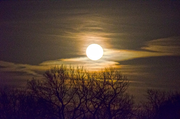 moon
