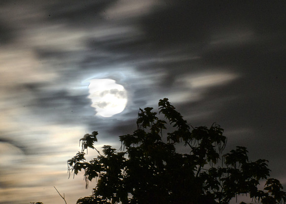 mooncropped