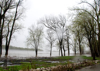 fog3