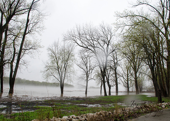 fog3