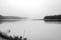DSC_5366