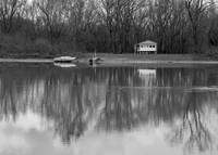 DSC_5365bw