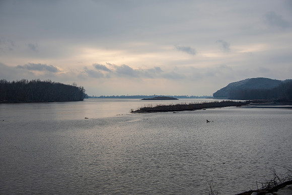 foggyriver