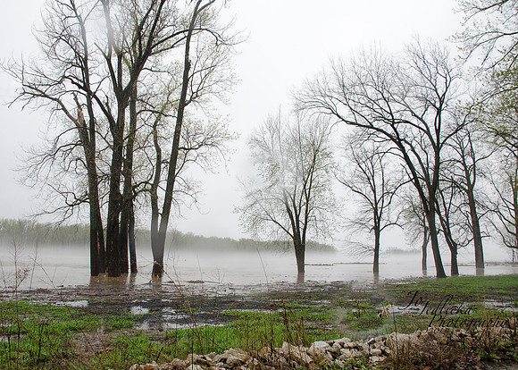 fog4