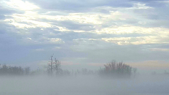 20180215_083552