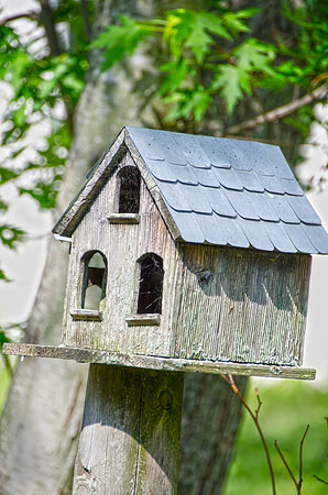 birdhouse