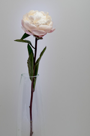10b
