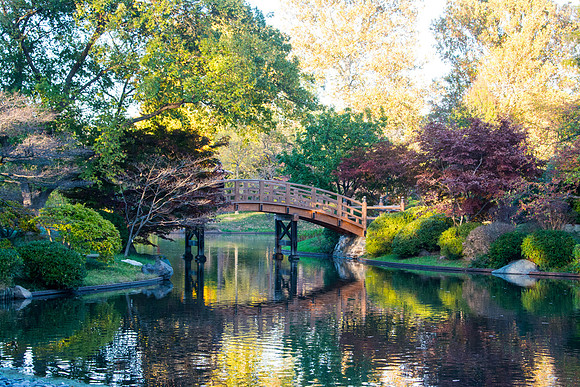 japanese bridge