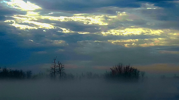 foggy morning