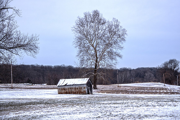 DSC_6534