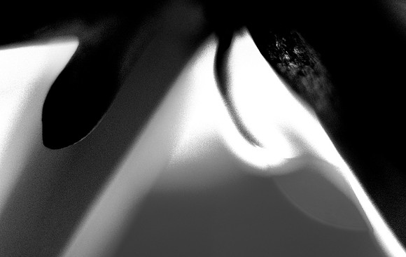 b2
