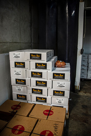 42