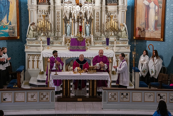 st francis bishop492